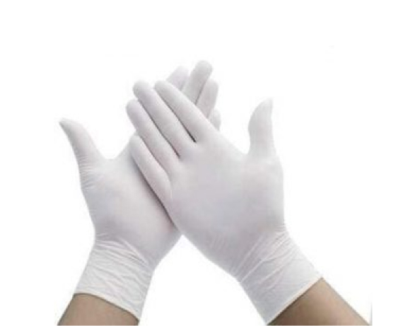 Surgical Gloves