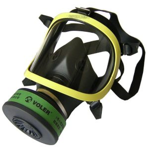 Face Mask